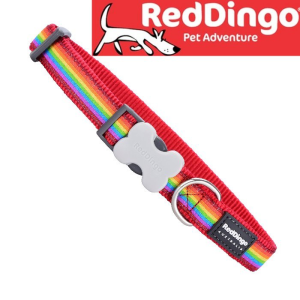 קולר צבעוני רד דינגו Red Dingo בצבע קשת